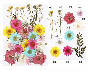 32 IN 1 PRESSED FLOWERS FL103