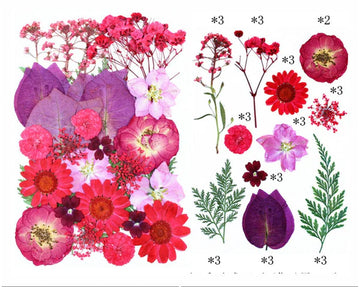 32 IN 1 PRESSED FLOWERS FL157