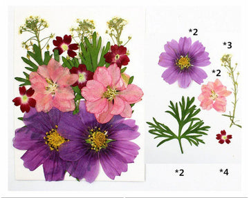 15 In 1 Pressed Flowers Fl034