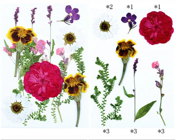 15 IN 1 PRESSED FLOWERS FL184
