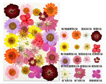 30 In 1 Pressed Flowers Fl098