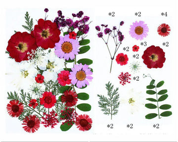 25 IN 1 PRESSED FLOWERS FL065