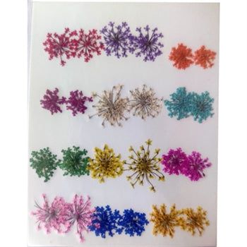 24 IN 1 MULTI PRESSED DRY FLOWER 81078