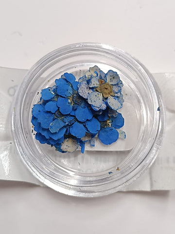FORGET ME NOT 81420