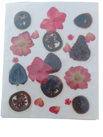 DF508 PRESSED FLOWER