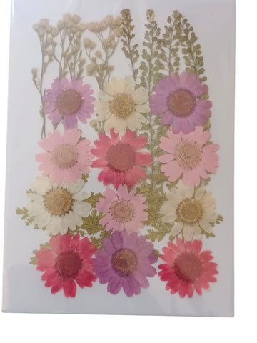 PRESSED DRY FLOWER DFMG116