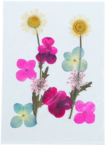 10 IN 1 PRESSED FLOWERS FL022