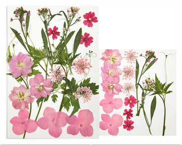 18 IN 1 PRESSED FLOWERS FL042