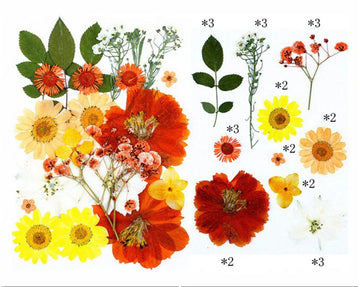 25 IN 1 PRESSED FLOWERS FL067