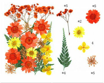 25 IN 1 PRESSED FLOWERS FL069