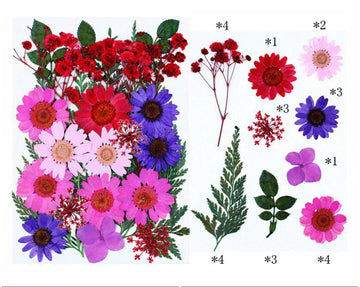 25 IN 1 PRESSED FLOWERS FL077