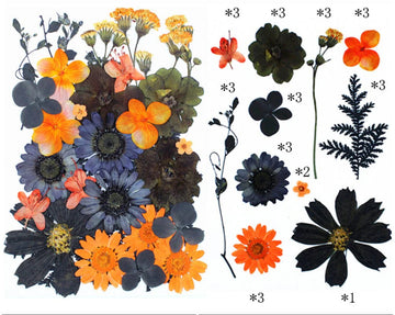 30 IN 1 PRESSED FLOWERS FL181