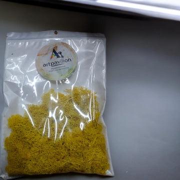 MOSS GRASS 100 GM