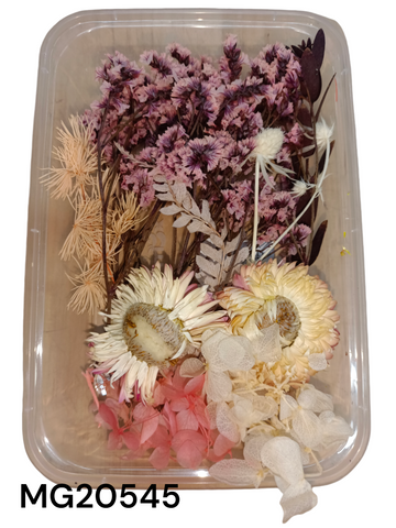DRY FLOWER BOX MG20545