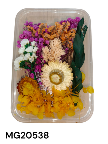 DRY FLOWER BOX MG20538