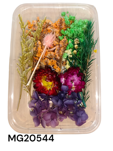 DRY FLOWER BOX MG20544