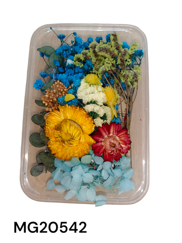 DRY FLOWER BOX MG20542