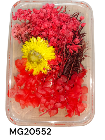DRY FLOWER BOX 20552