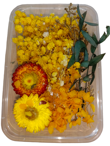 DRY FLOWER BOX 20535
