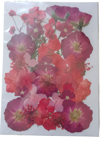 PRESSED DRY FLOWER DFMG024