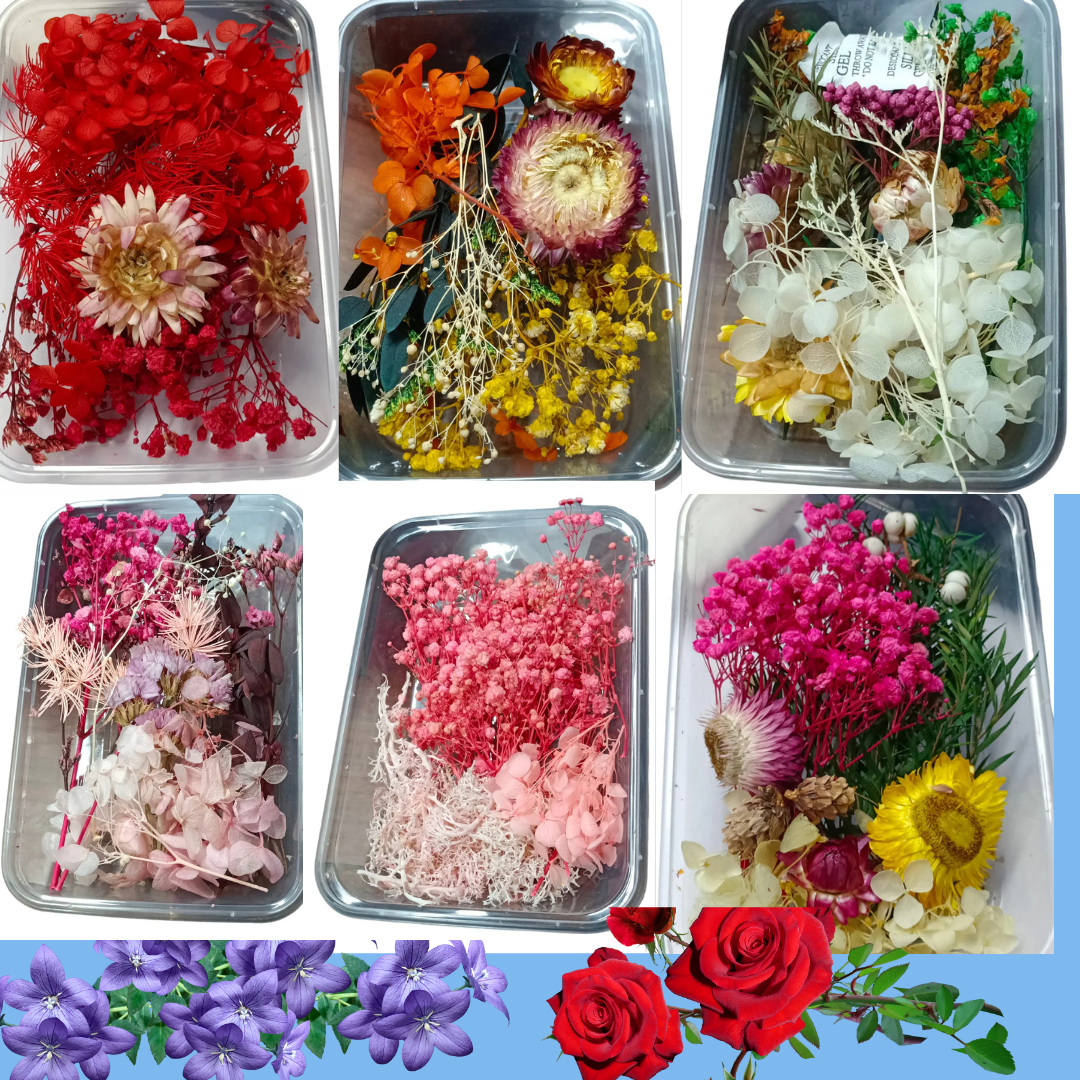 DRY FLOWER BOX