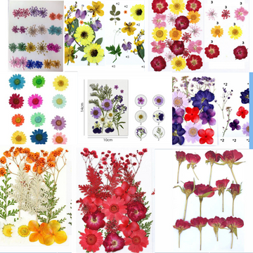 PRESSED FLOWER