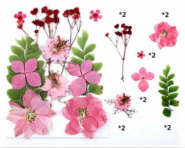 12 In 1 Pressed Flowers Fl029