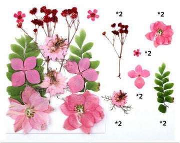 12 In 1 Pressed Flowers Fl029