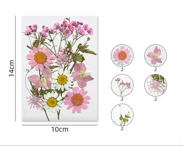 12 In 1 Pressed Flowers Fl174