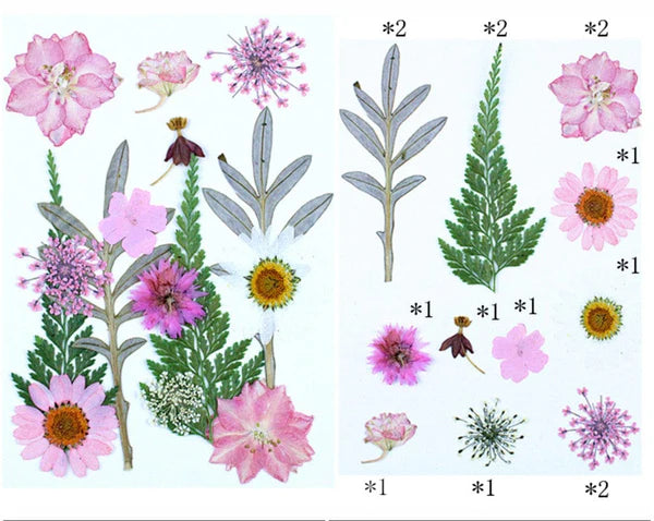 15 In 1 Pressed Flowers Fl182