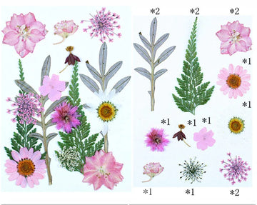 15 In 1 Pressed Flowers Fl182