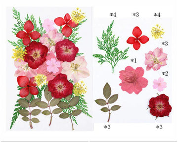 23 In 1 Pressed Flowers Fl057