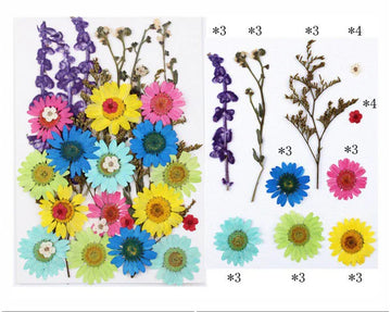 32 In 1 Pressed Flowers Fl106