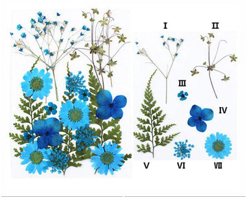21 IN 1 PRESSED FLOWERS FL050