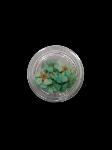 FORGET ME NOT 81423
