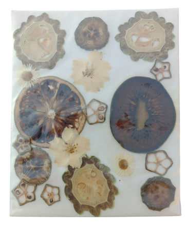 DF506 PRESSED FLOWER