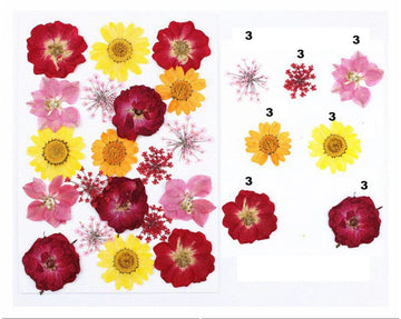 21 IN 1 PRESSED FLOWERS FL046