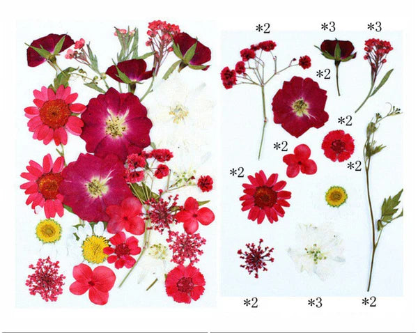 25 IN 1 PRESSED FLOWERS FL071
