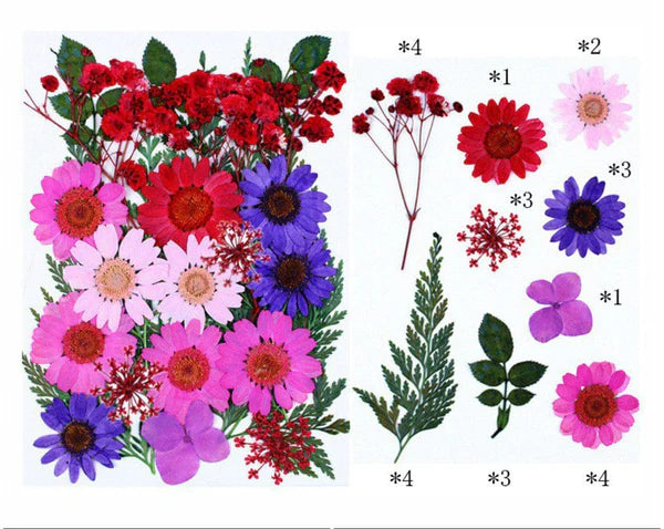 25 IN 1 PRESSED FLOWERS FL077