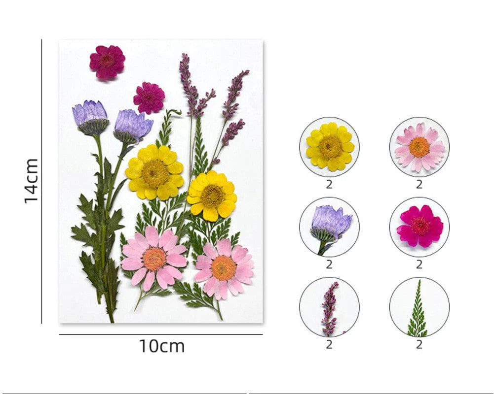 12 IN 1 PRESSED FLOWERS FL170