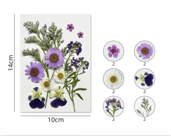 12 IN 1 PRESSED FLOWERS FL171