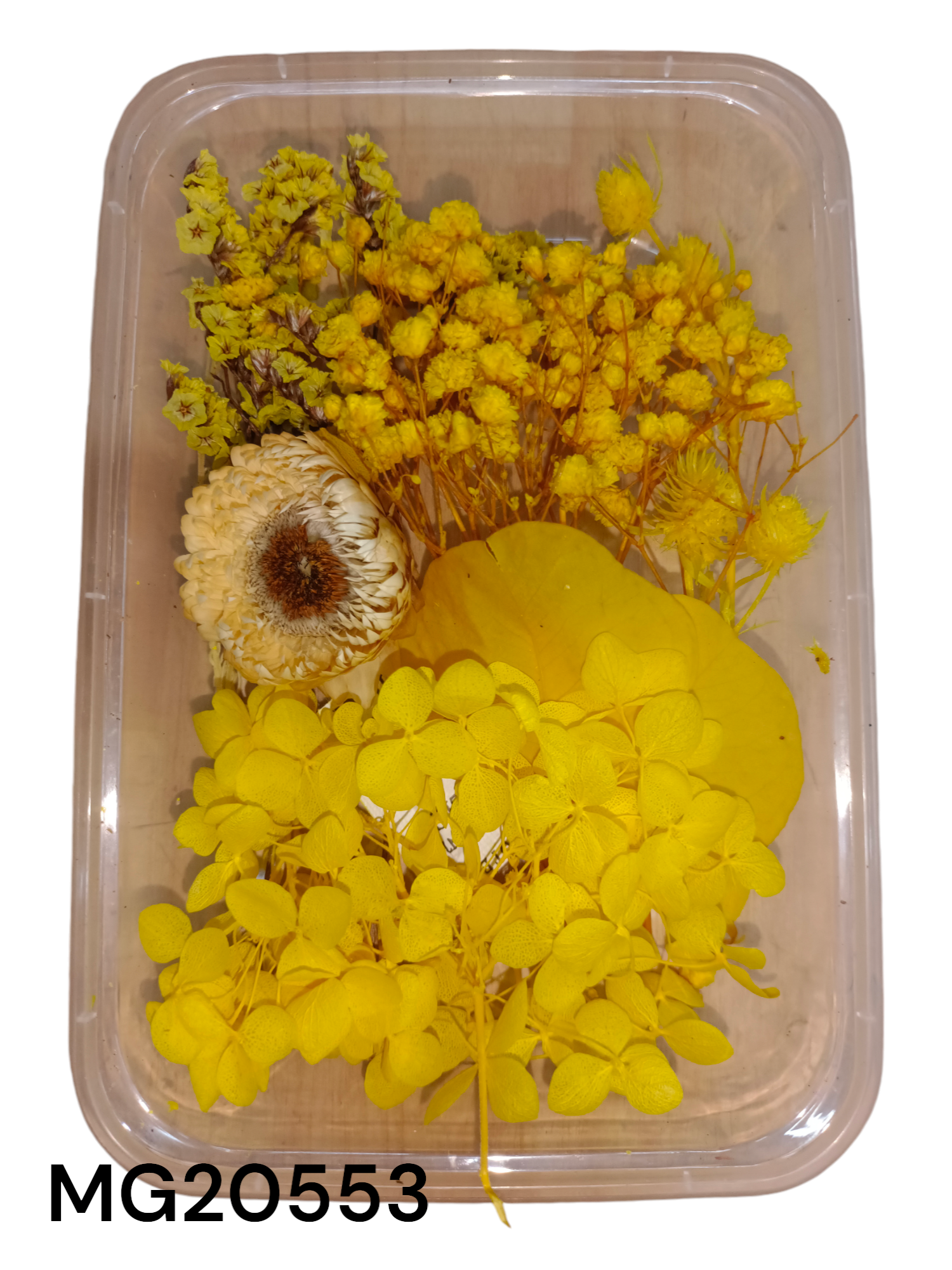 DRY FLOWER BOX MG20553
