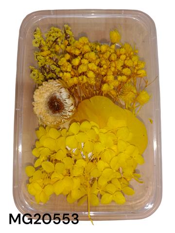 DRY FLOWER BOX MG20553