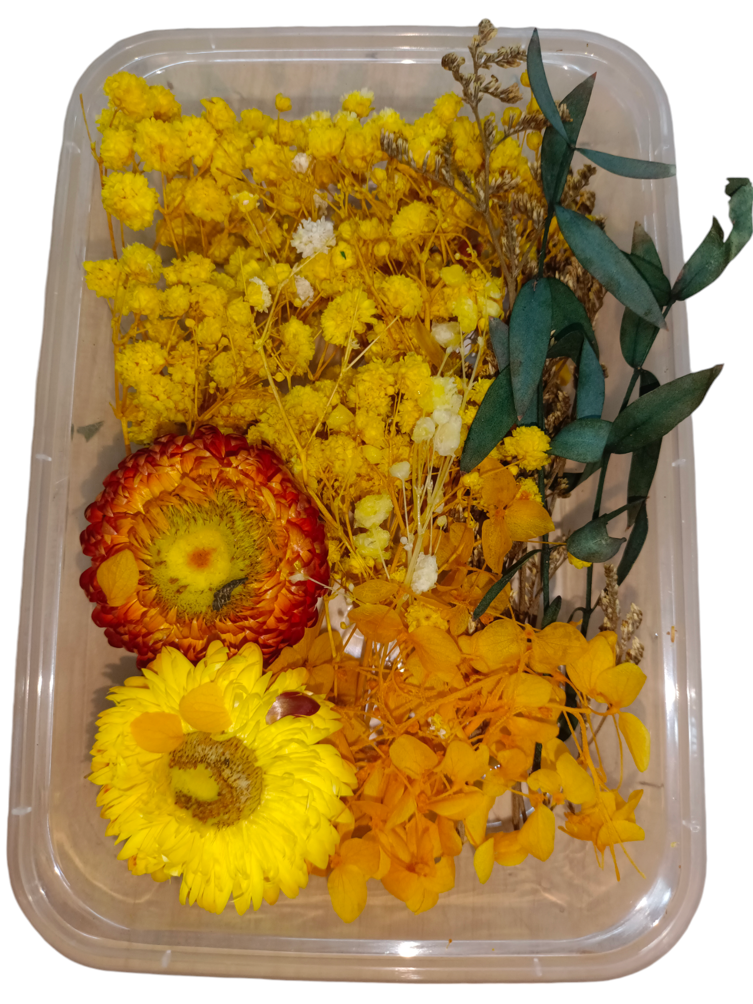 DRY FLOWER BOX 20535