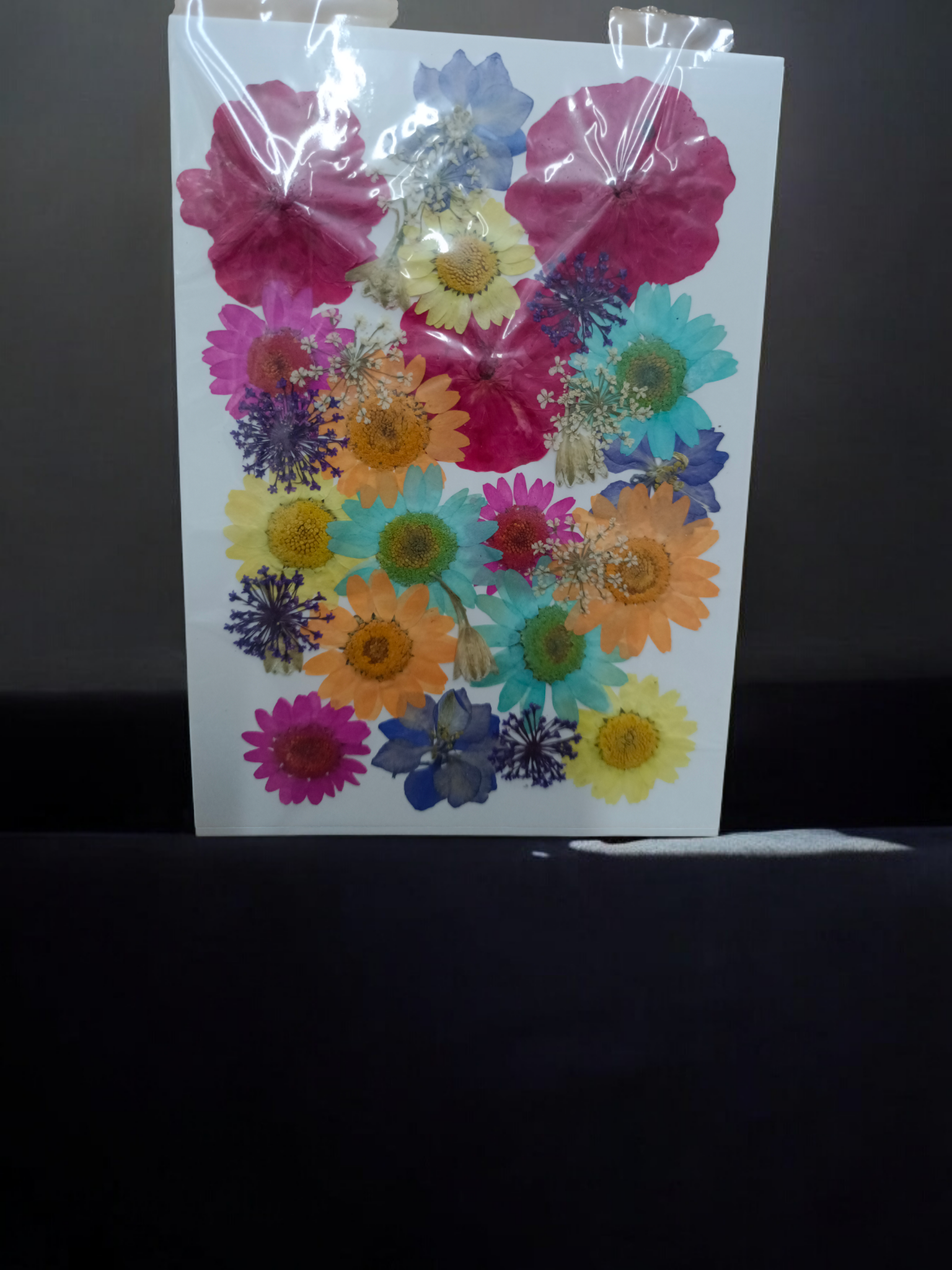 Pressed Flowers FL0176