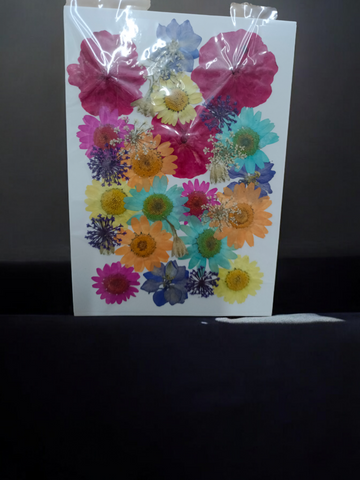 Pressed Flowers FL0176