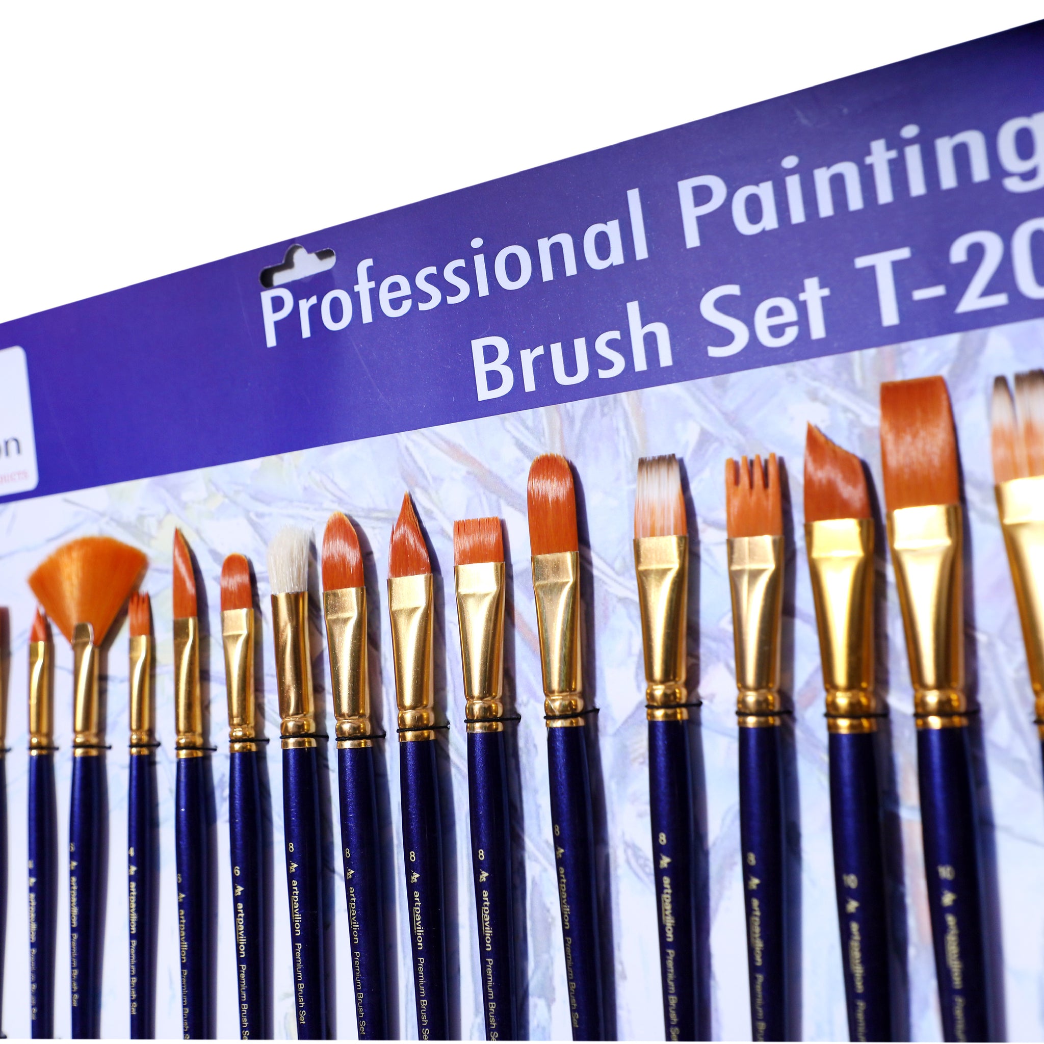 T 20 BRUSH SET