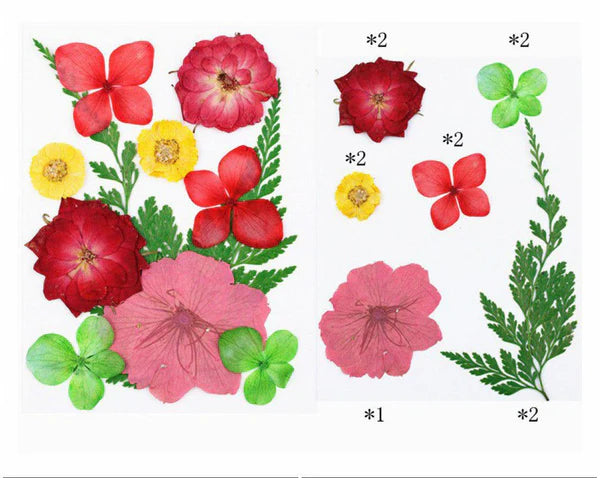11 IN 1 PRESSED FLOWERS FL012