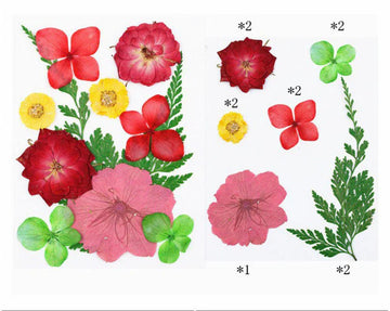 11 IN 1 PRESSED FLOWERS FL012
